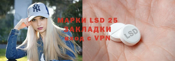 индика Новодвинск