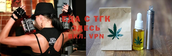 индика Новодвинск