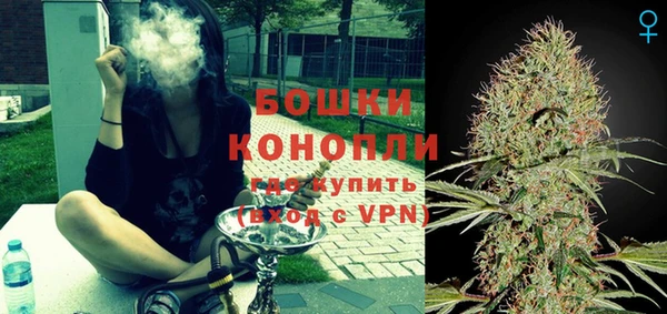 индика Новодвинск