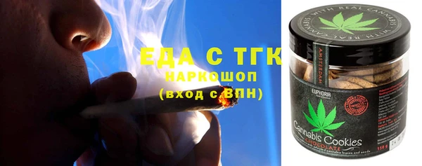 индика Новодвинск