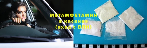 индика Новодвинск