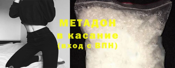 индика Новодвинск