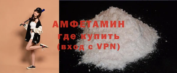 индика Новодвинск
