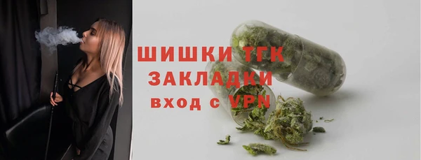 индика Новодвинск