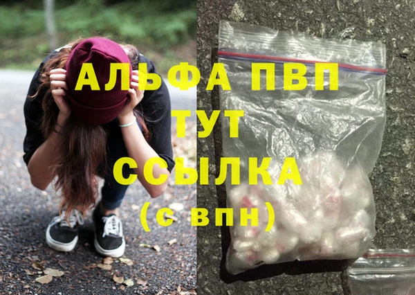 индика Новодвинск