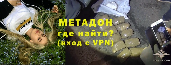 индика Новодвинск