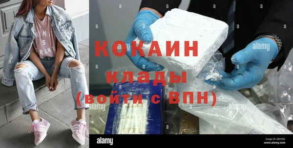 индика Новодвинск