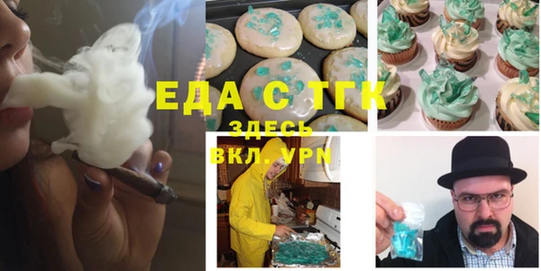 индика Новодвинск