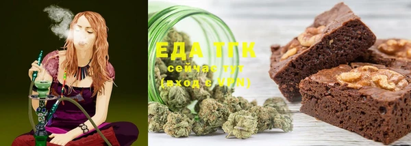 индика Новодвинск