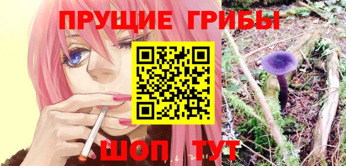Псилоцибиновые грибы GOLDEN TEACHER  Псилоцибиновые грибы прущие грибы  продажа наркотиков  Белебей  Вход с VPN 