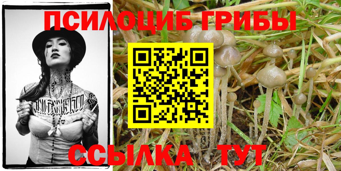 Галлюциногенные грибы ЛСД  как найти   Псилоцибиновые грибы прущие грибы  Белебей 
