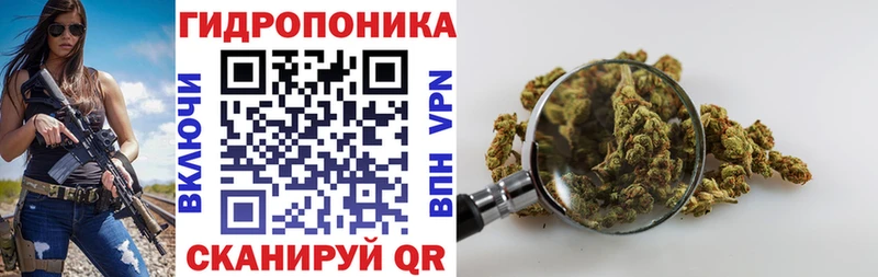 Конопля индика  Белебей 